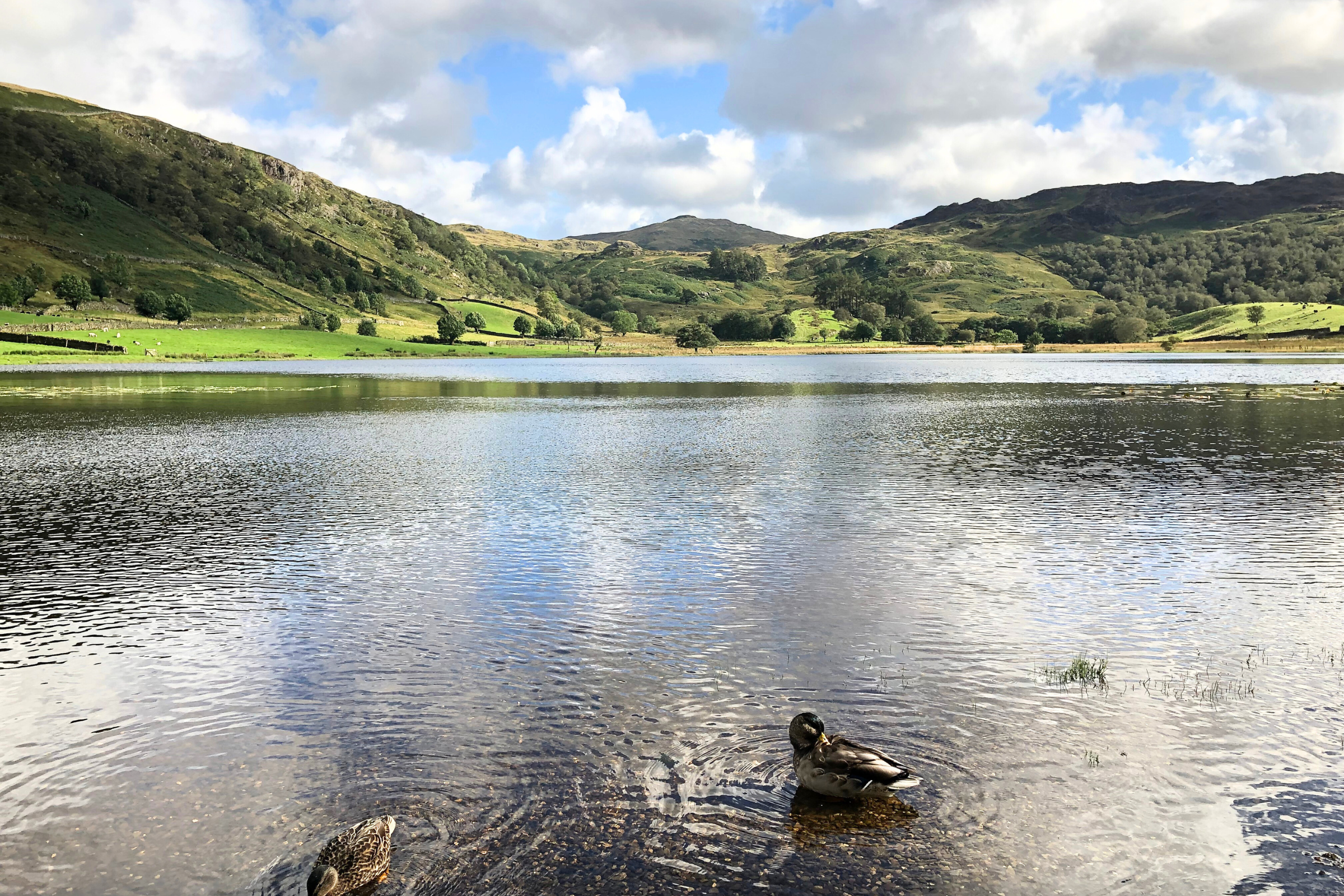 13_Rosthwaite[1].webp
